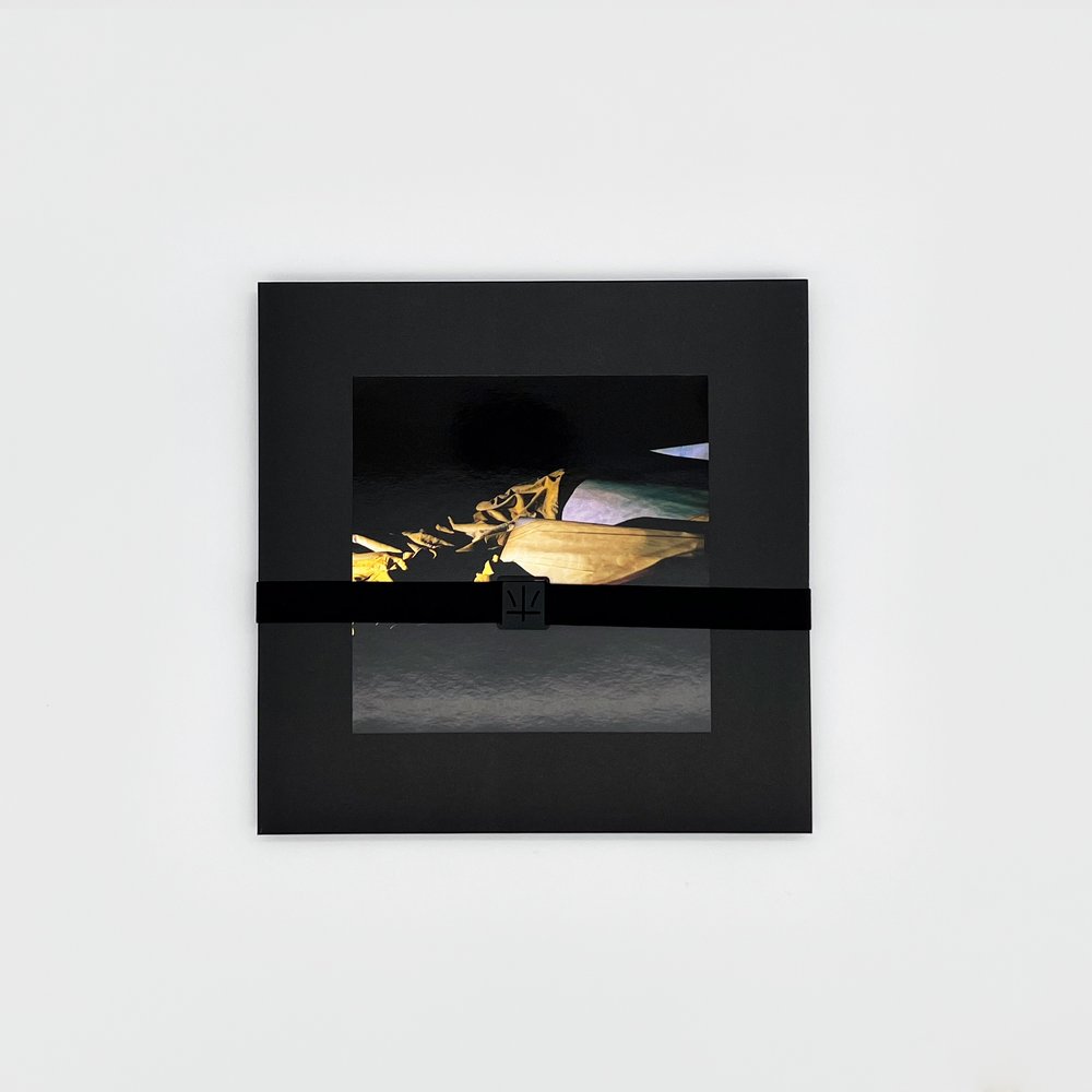 Arcade Sound - Holy Other - Lieve front cover