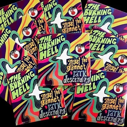 Arcade Sound - The Burning Hell - Nigel The Gannet / Lark Descending 7" front cover