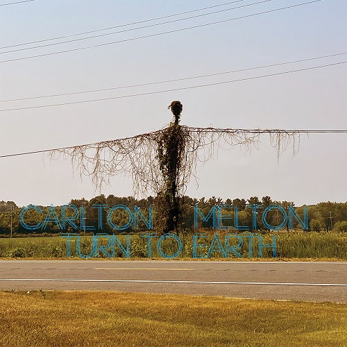 Arcade Sound - Carlton Melton - Turn to Earth - 2LP/CD front cover
