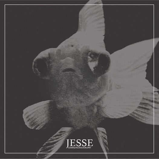Arcade Sound - Jesse - Complete Discography - 2LP front cover