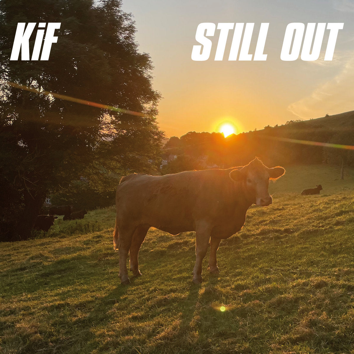 KiF - Still Out - LP