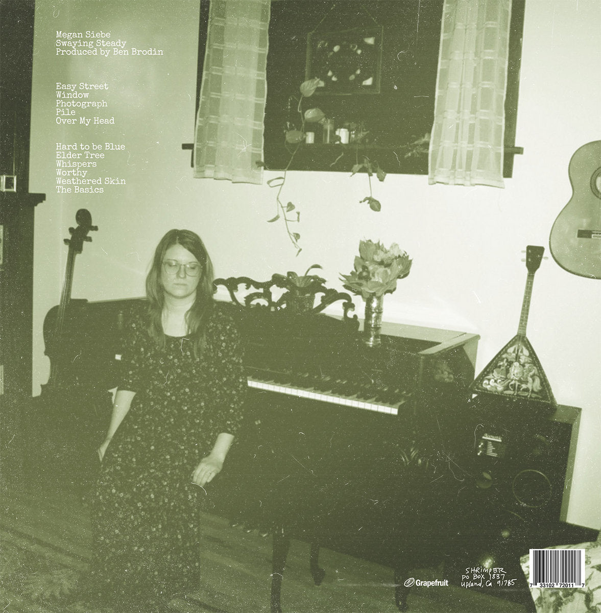 Arcade Sound - Megan Siebe - Swaying Steady - LP image