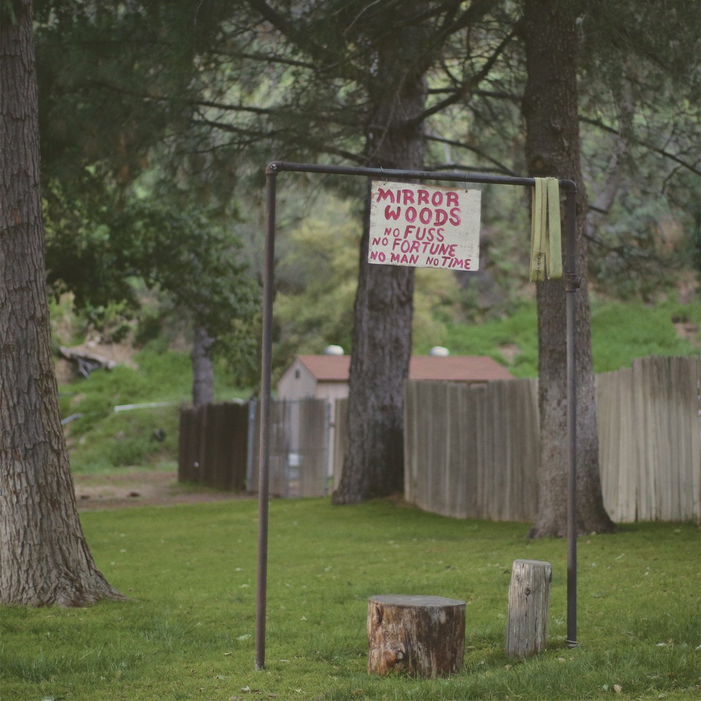 Creeping Pink – Spiegelhölzer