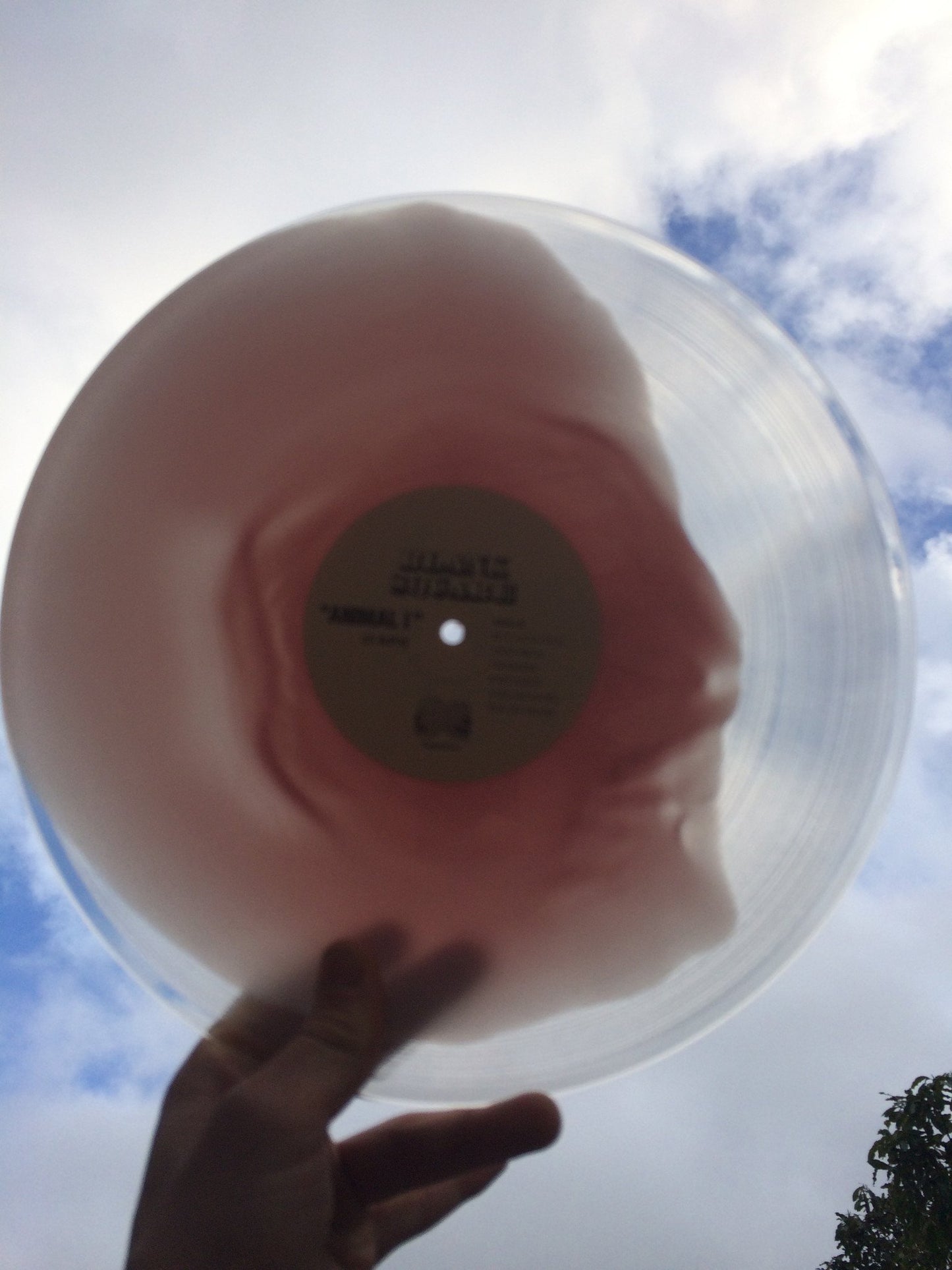 Blank Square - Animal I