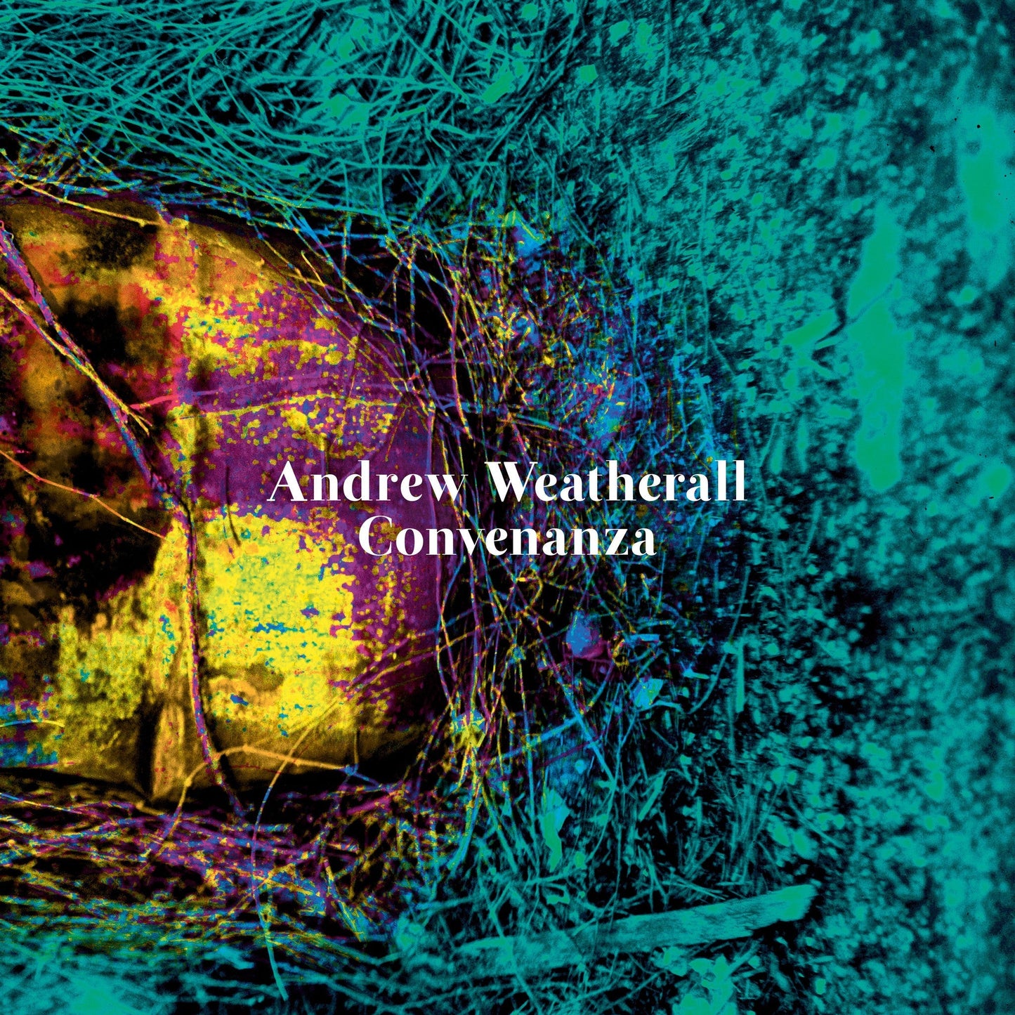 Arcade Sound - Andrew Weatherall - Convenanza - CD front cover