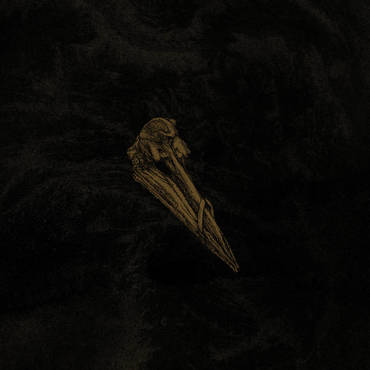 Arcade Sound - Black Holes Are Cannibals - Surfacer - LP image