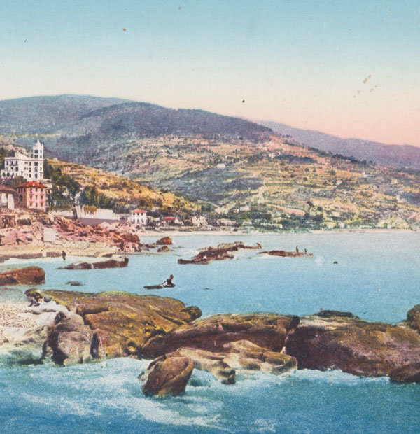 Charcoal Owls - Tin Roof LP