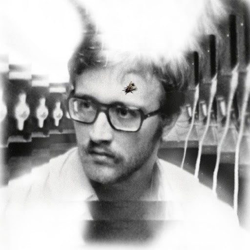 Arcade Sound - Damaged Bug - Bugs on Yonkers image