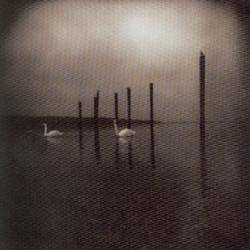 Arcade Sound - OM - Conference Of Birds (Clear with Purple Vinyl Edition) image