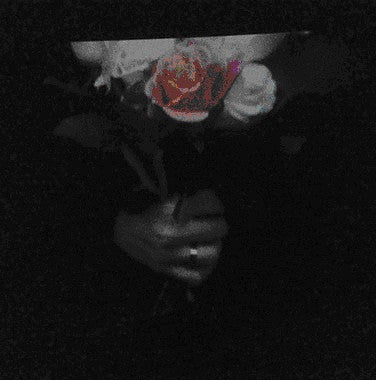 Paper Dollhouse - Aeonflower LP