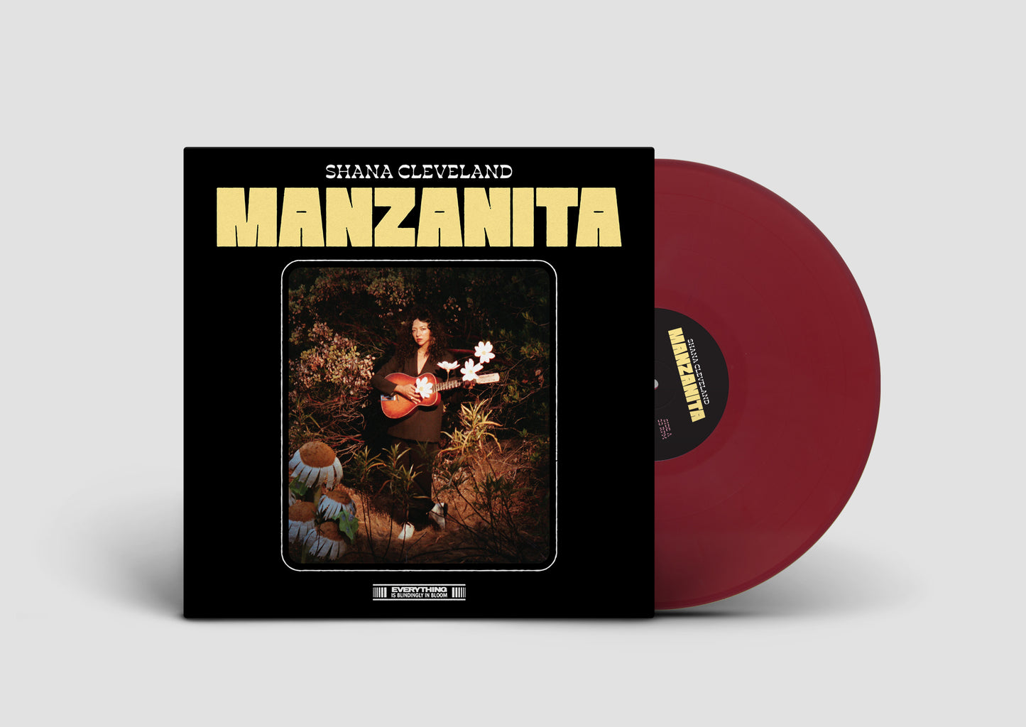 Arcade Sound - Shana Cleveland - Manzanita - LP / CD front cover