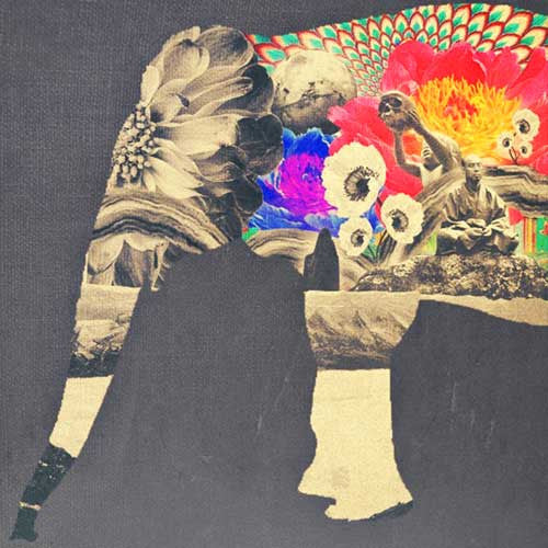 Spiral Shades – Hypnosis Sessions 2LP