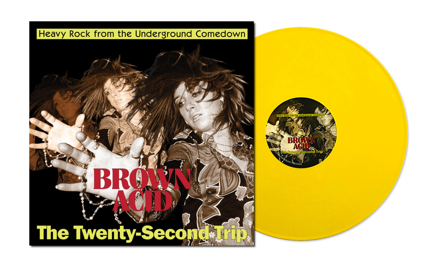 Various - Brown Acid: The Twenty-Second Trip - LP/CD