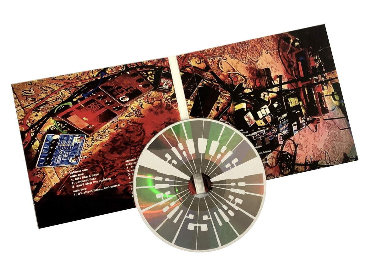 The Heads - yourprettyplaceisgoingtohell - 2LP/CD