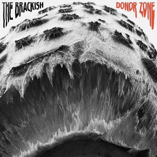 Arcade Sound - The Brackish - Donor Friends front cover