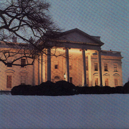 Arcade Sound - The Dead C - The White House (Reissue) - 2xLP image
