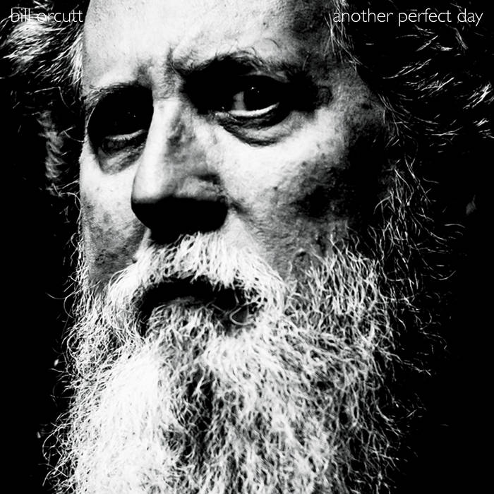 Bill Orcutt - Another Perfect Day - LP/CD