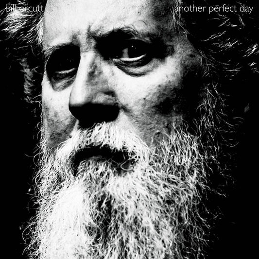 Bill Orcutt - Another Perfect Day - LP/CD