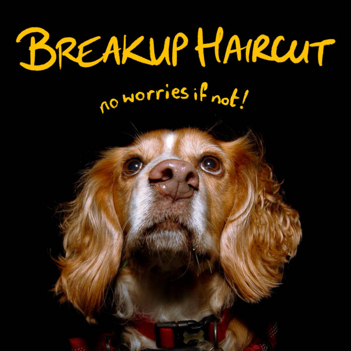 Breakup Haircut - No Worries If Not - CD
