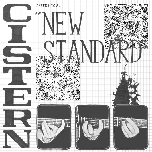 Arcade Sound - Cistern - New Standard - LP front cover