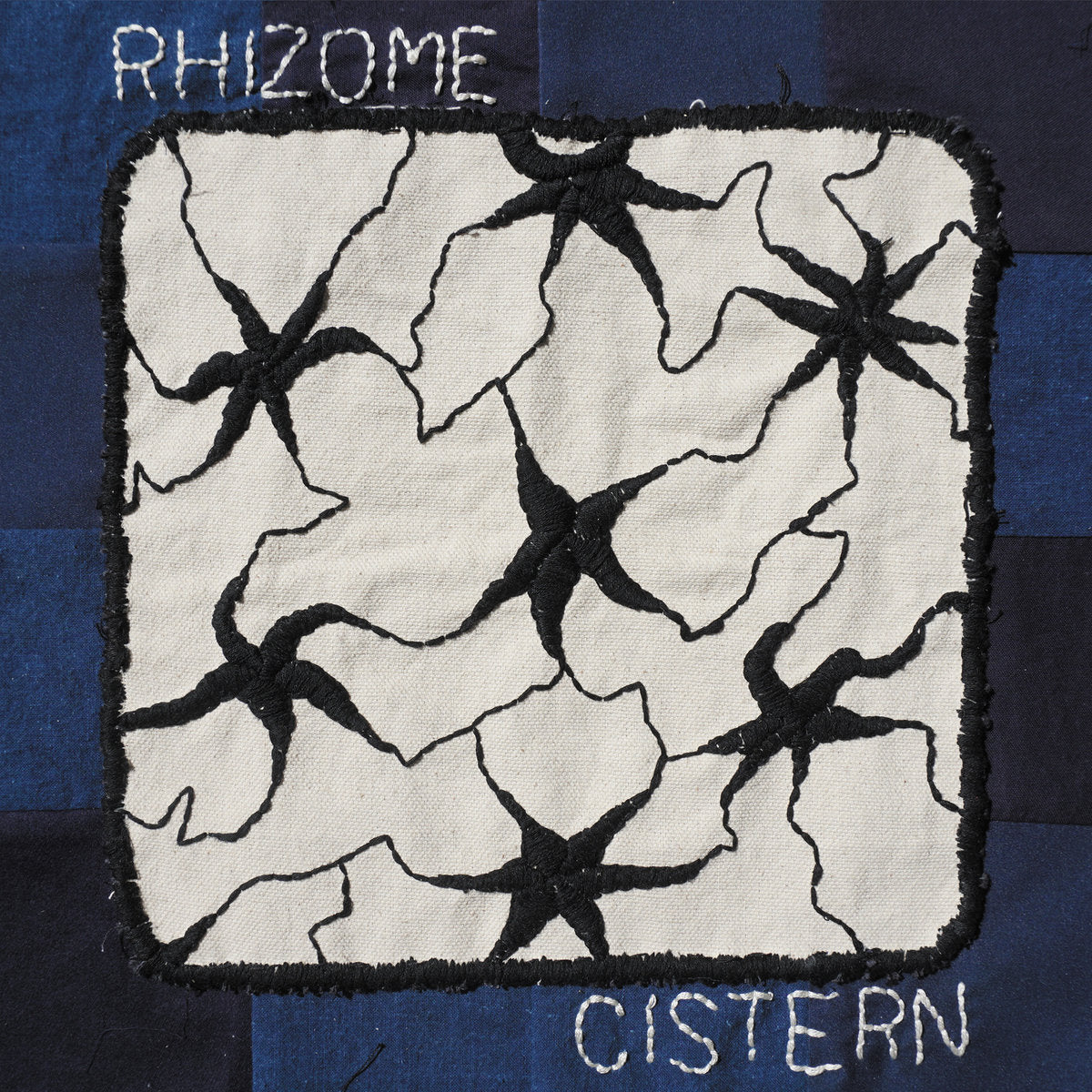 Cistern - Rhizome - LP