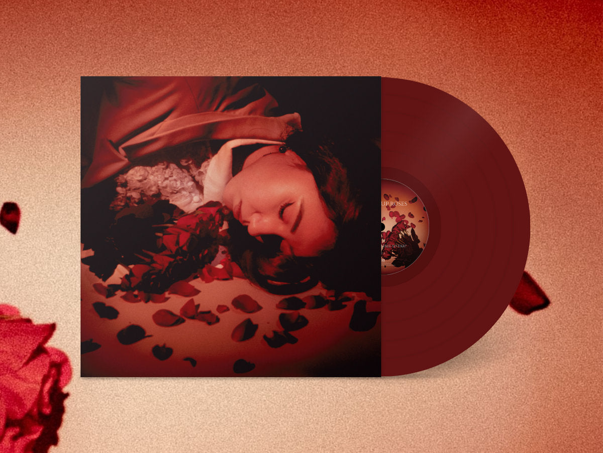 Arcade Sound - Coming Up Roses - How Did We Fall So Far? - LP/CD front cover