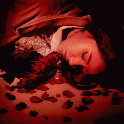 Arcade Sound - Coming Up Roses - How Did We Fall So Far? - LP/CD front cover