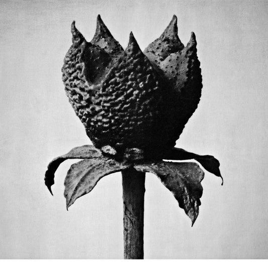 Arcade Sound - Masayoshi Fujita - Book Of Life front cover