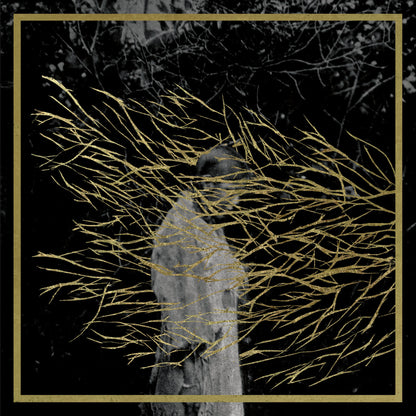 Forest Swords - Engravings (Reissue) - 2LP/CD