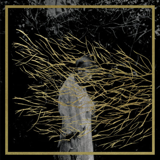 Forest Swords - Engravings (Reissue) - 2LP/CD