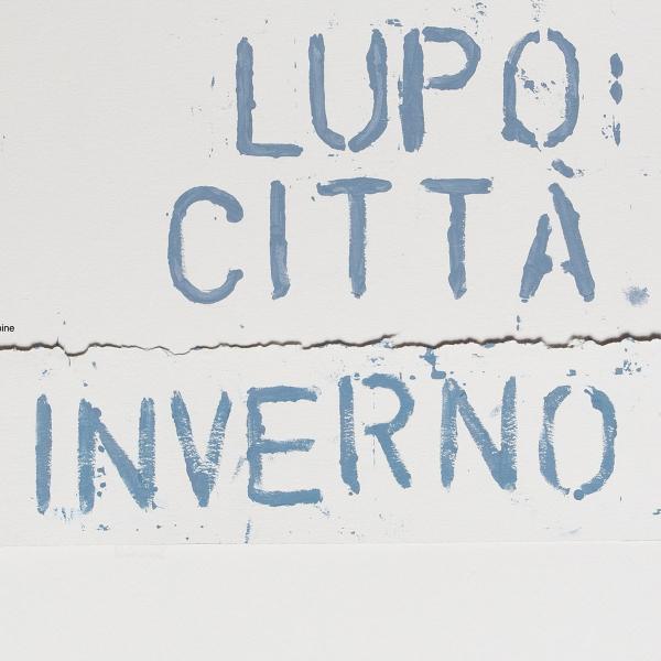 Lupo Città - Inverno - LP