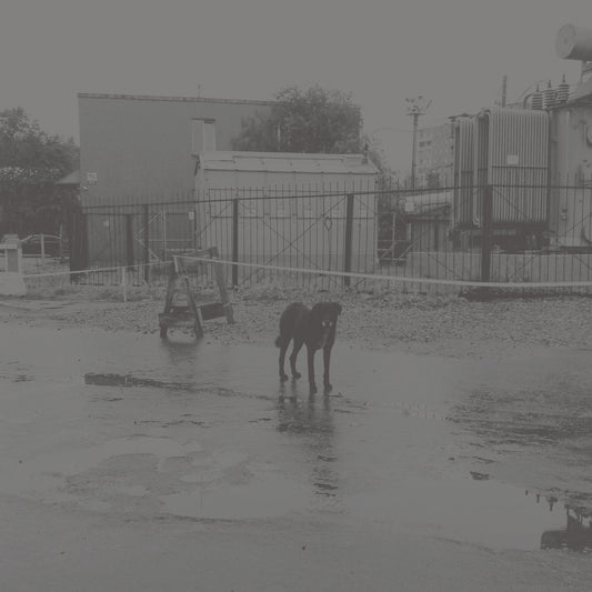 Nivhek - After Its Own Death / Walking In A Spiral Towards The House - 2LP/2CD