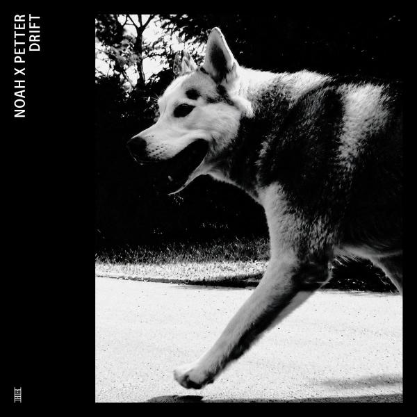 Noah X Petter - Drift - LP