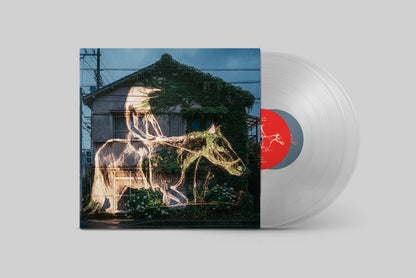 Penguin Cafe - The Red Book - LP/CD