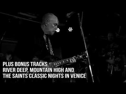The Aints – Live in Marrickville Bowlo