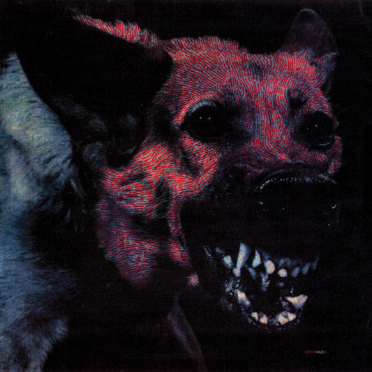 Protomartyr - Sous la couleur de.... - LP / CD
