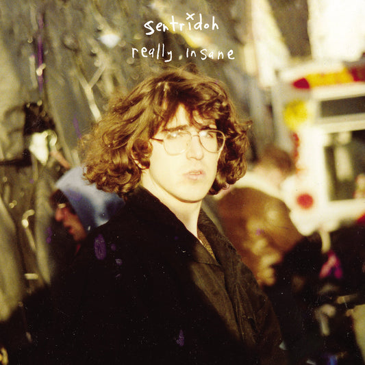 Arcade Sound - Sentridoh - Really Insane: A Lou Barlow Compendium - LP front cover