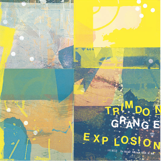 Trimdon Grange Explosion - Dreams Buried Under The Sea - LP