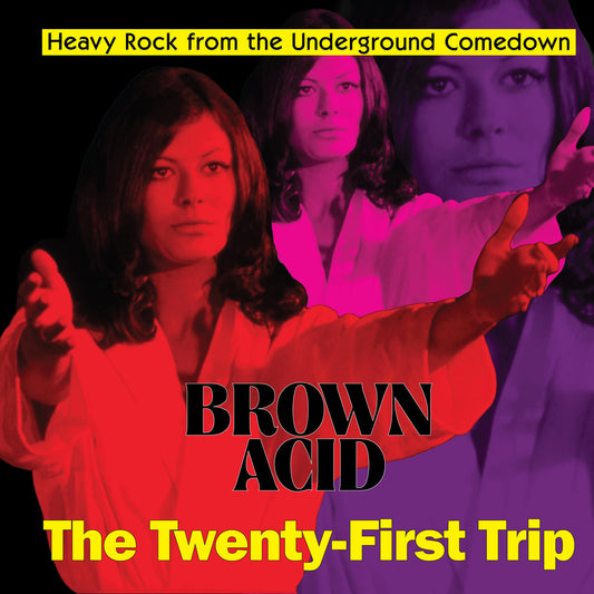 Various - Brown Acid: The Twenty-First Trip - LP/CD