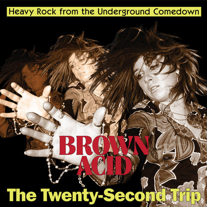 Various - Brown Acid: The Twenty-Second Trip - LP/CD