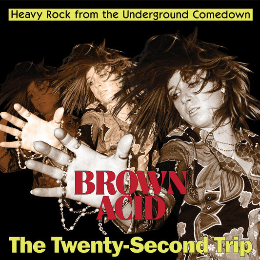 Various - Brown Acid: The Twenty-Second Trip - LP/CD