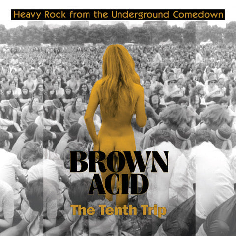 Arcade Sound - Brown Acid 10 - The Tenth Trip - LP image