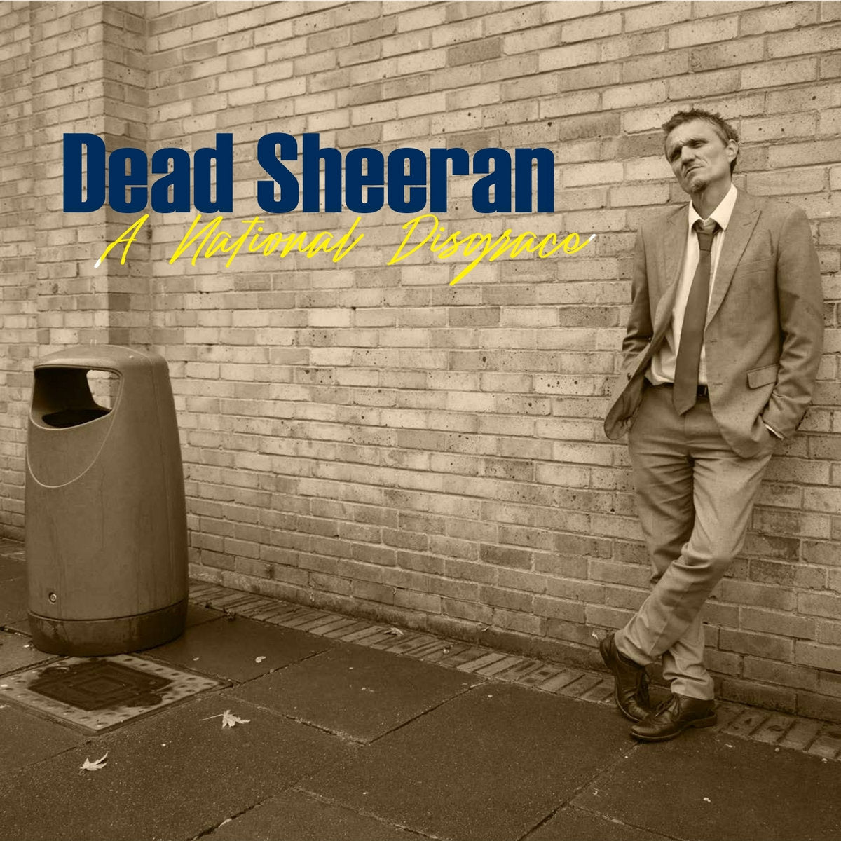 Arcade Sound - Dead Sheeran - National Disgrace - LP image