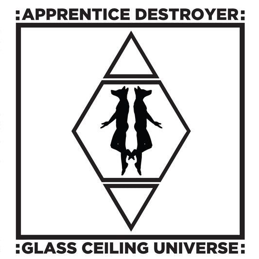 Apprentice Destroyer – Glasdecken-Universum