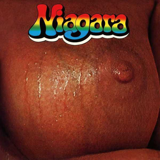 Arcade Sound - Niagara - Niagara - LP image