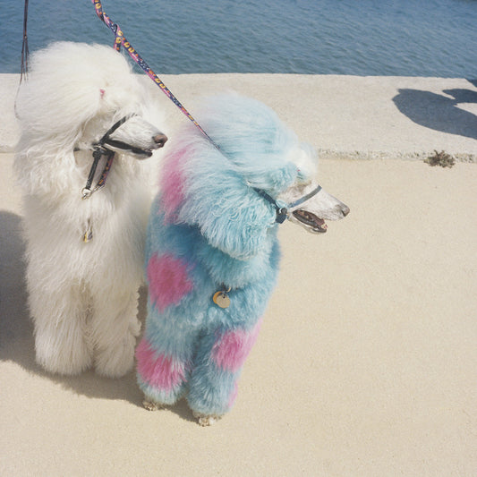 Arcade Sound - EXEK - Advertise Here front cover