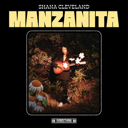 Arcade Sound - Shana Cleveland - Manzanita - Col. LP / CD image