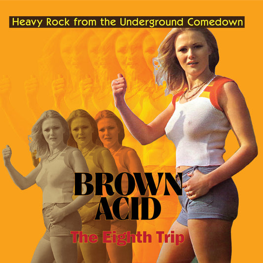 Arcade Sound - Brown Acid 8 - The Eighth Trip front cover