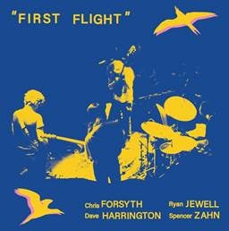 Arcade Sound - Chris Forsyth - First Flight - LP front cover