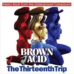 Arcade Sound - Brown Acid 13 - The Thirteenth Trip front cover